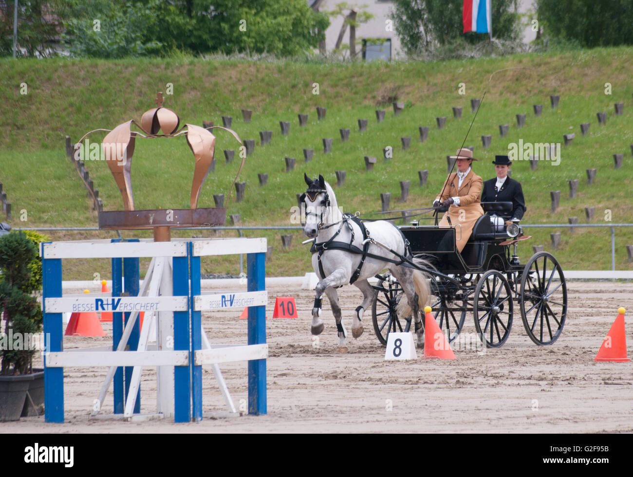 Hindernis-Parcours Rennen der internationalen Pferd Kutsche Trainer Rennsport in Dillenburg, Deutschland Stockfoto