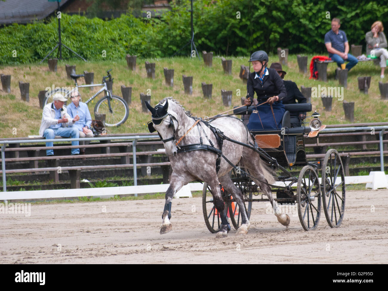 Hindernis-Parcours Rennen der internationalen Pferd Kutsche Trainer Rennsport in Dillenburg, Deutschland Stockfoto