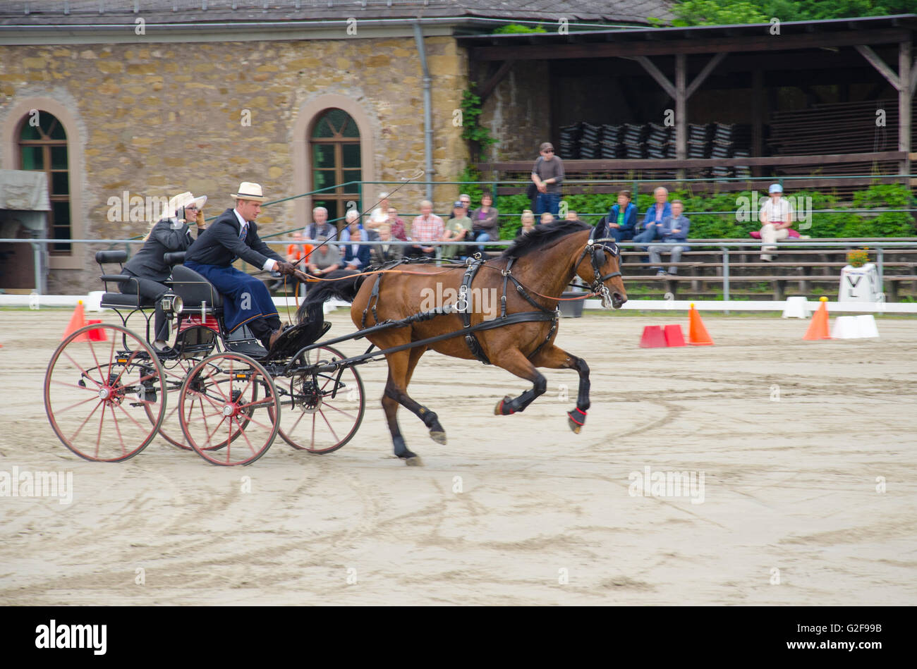 Hindernis-Parcours Rennen der internationalen Pferd Kutsche Trainer Rennsport in Dillenburg, Deutschland Stockfoto