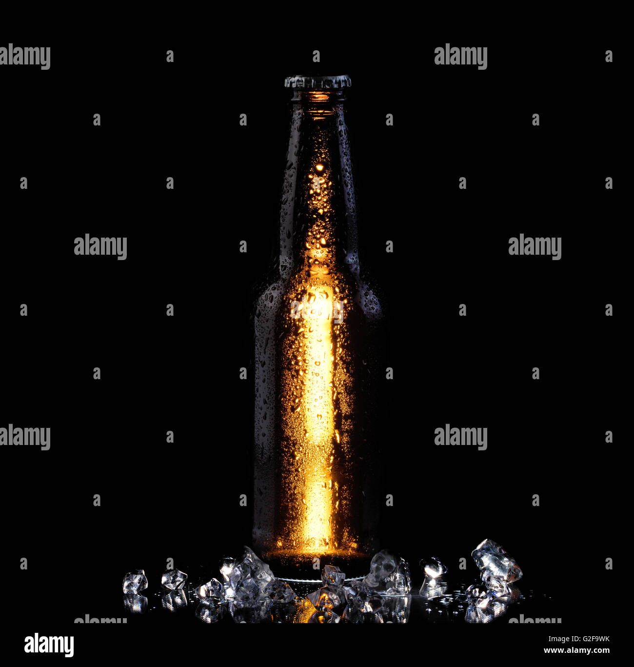 Bierflasche mit Kondensation und Eis auf schwarzem Hintergrund. Vertikalen Layout. Stockfoto