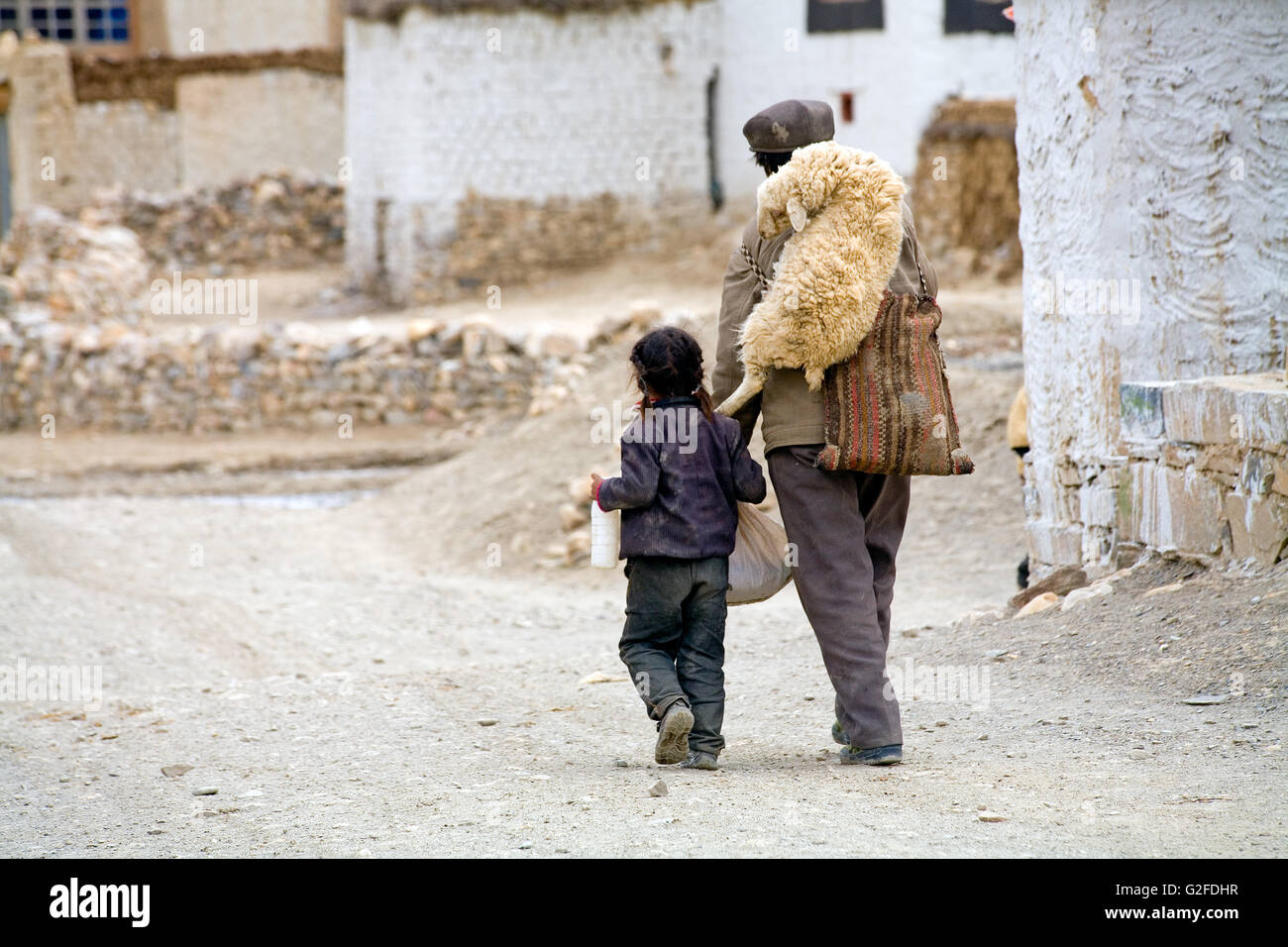 Tibetische Bauer geht mit dem Kind und Schafe auf der Rückseite in Jinka Dorf, Tibet Stockfoto