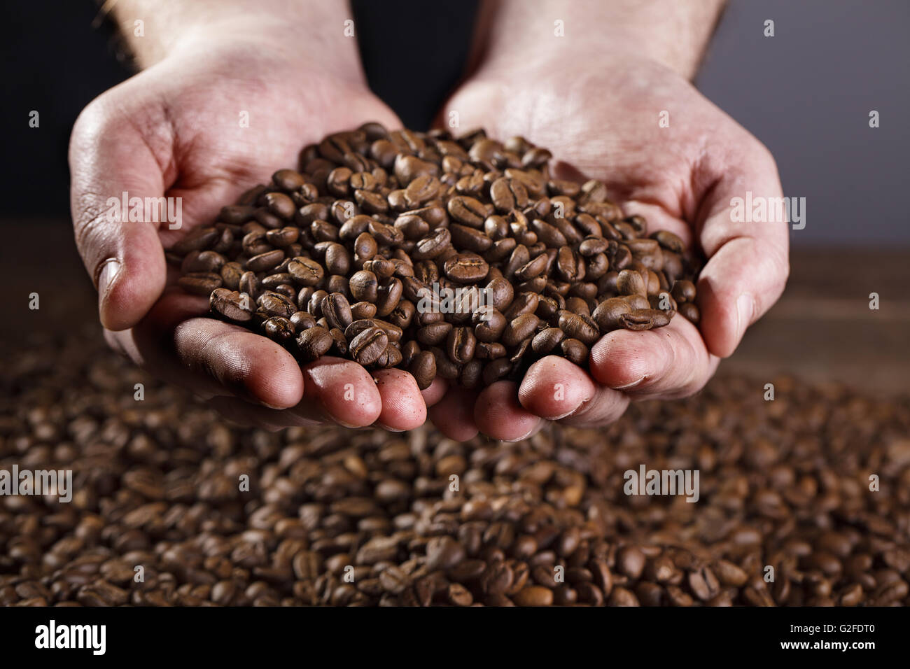 Männliche Arbeiter Hände halten frisch gerösteten dunkle Espresso Kaffeebohnen Stockfoto