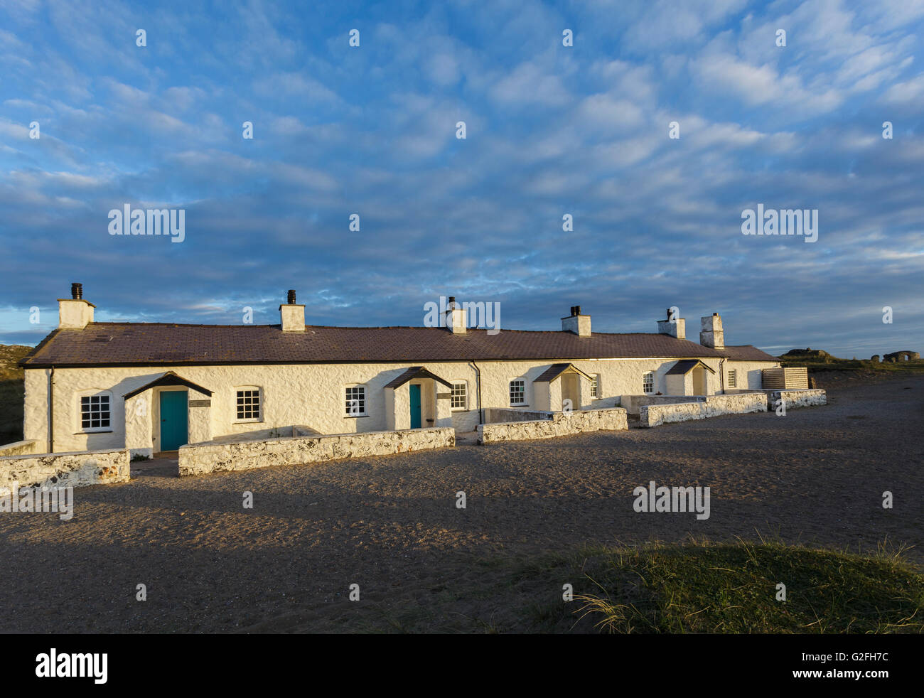 Pilot auf dem Land, Llanddwyn Island, Anglesey, North Wales UK Stockfoto