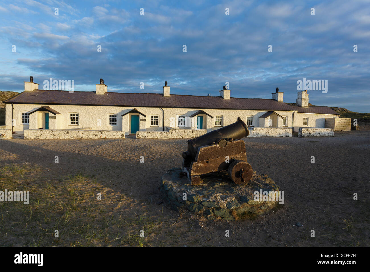 Pilot auf dem Land, Llanddwyn Island, Anglesey, North Wales UK Stockfoto