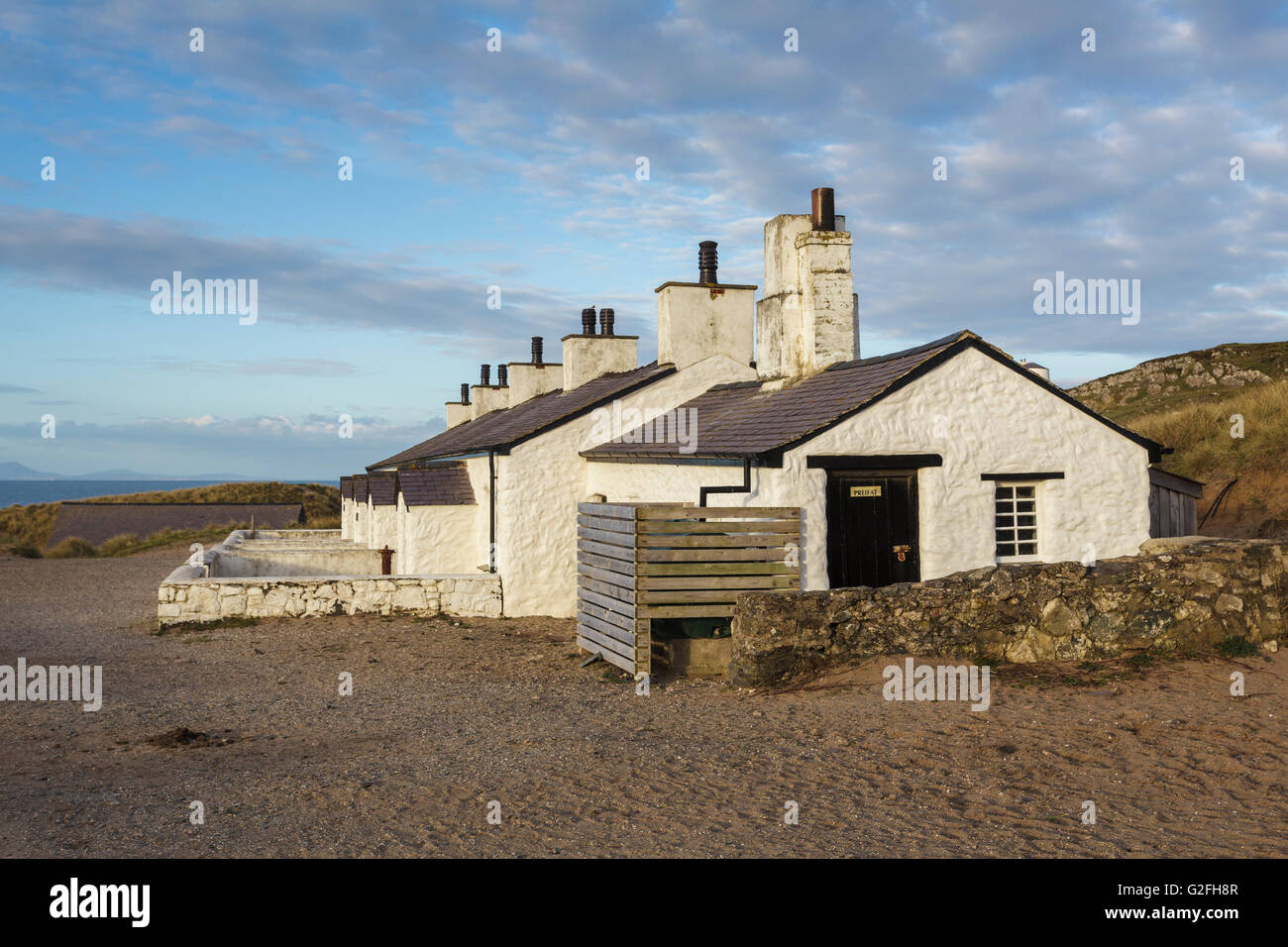 Piloten auf dem Land, Llanddwyn Island, Anglesey, North Wales UK Stockfoto