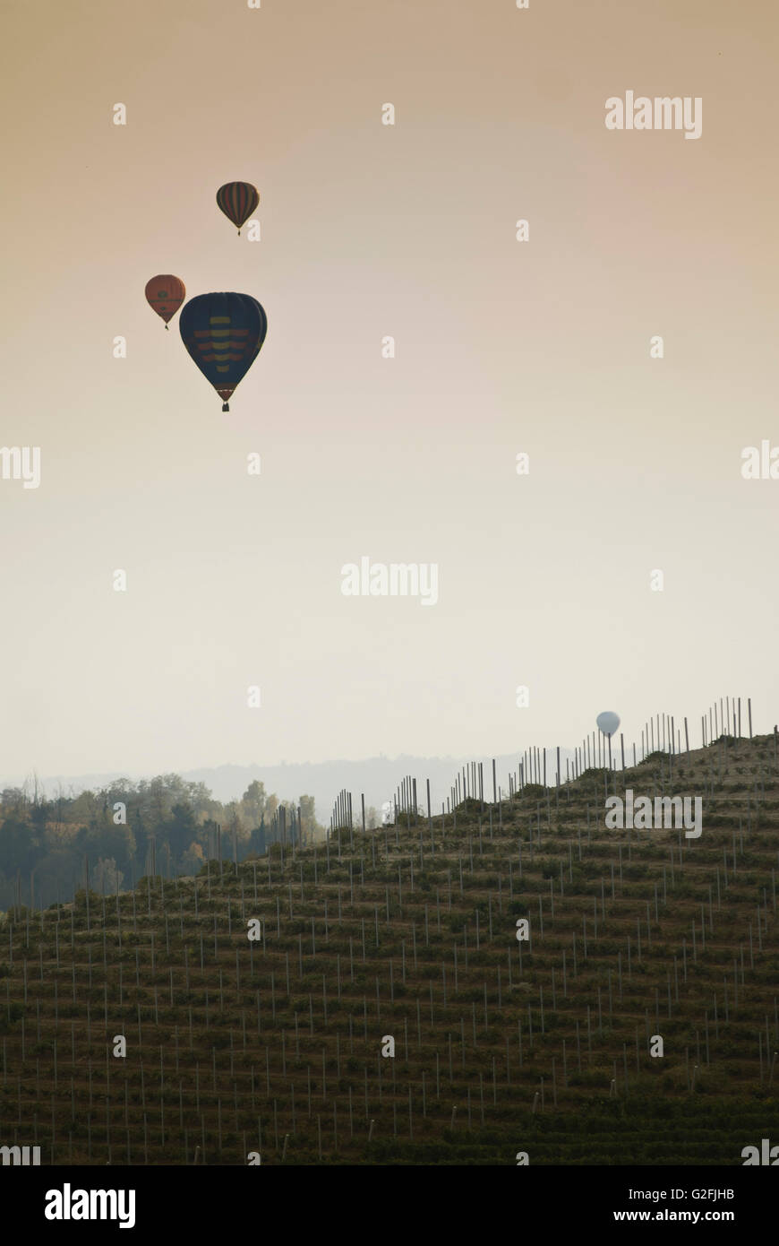 Drei heiße Luftballons fliegen über Weinberg, Italien Stockfoto