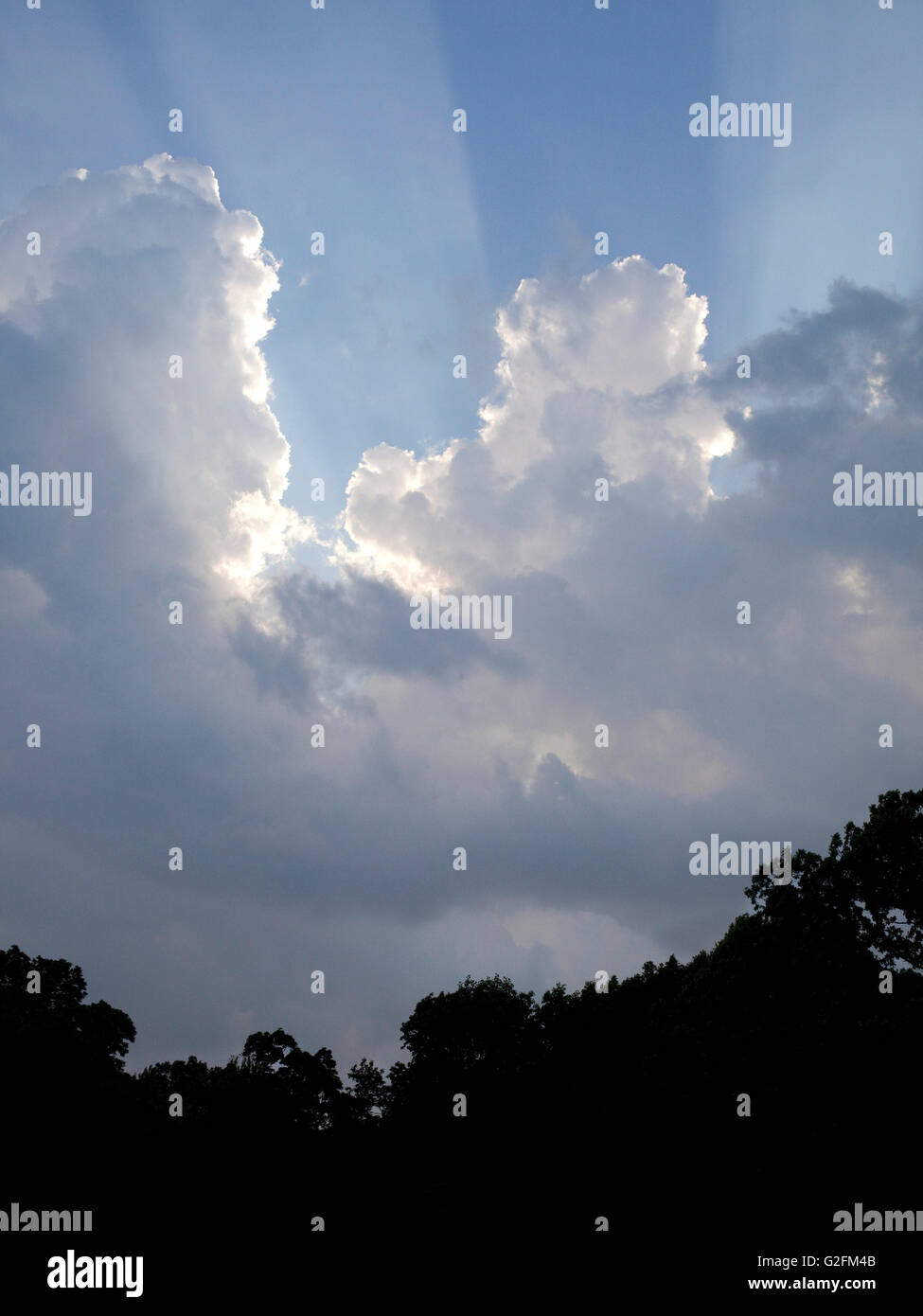 Sonnenstrahlen und geschwollenen Wolken im park Stockfoto