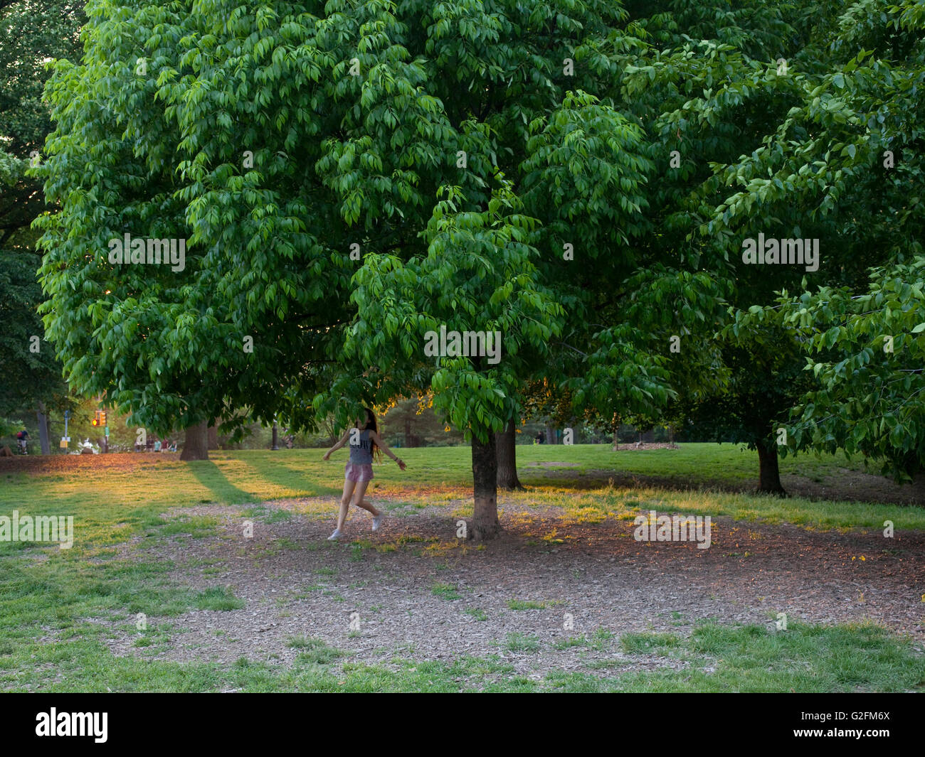Mädchen im Park in der Sommerzeit Stockfoto