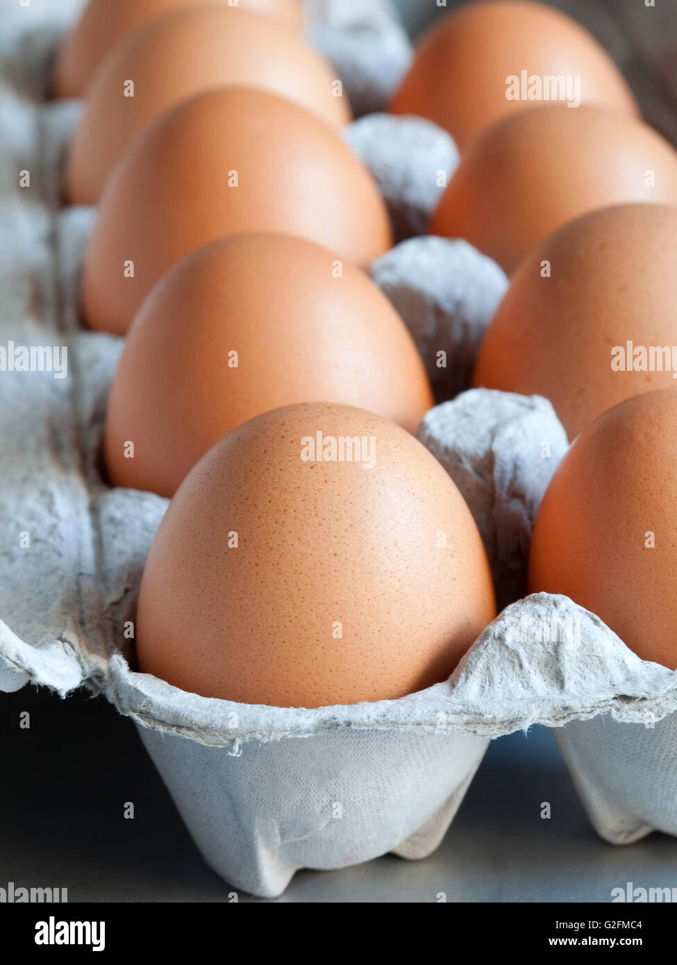 Eiern In der Schale Stockfoto