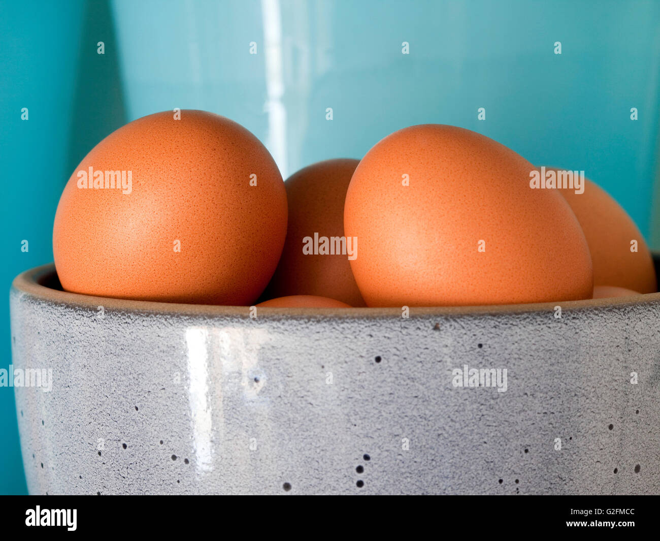 Eiern In der Schale Stockfoto