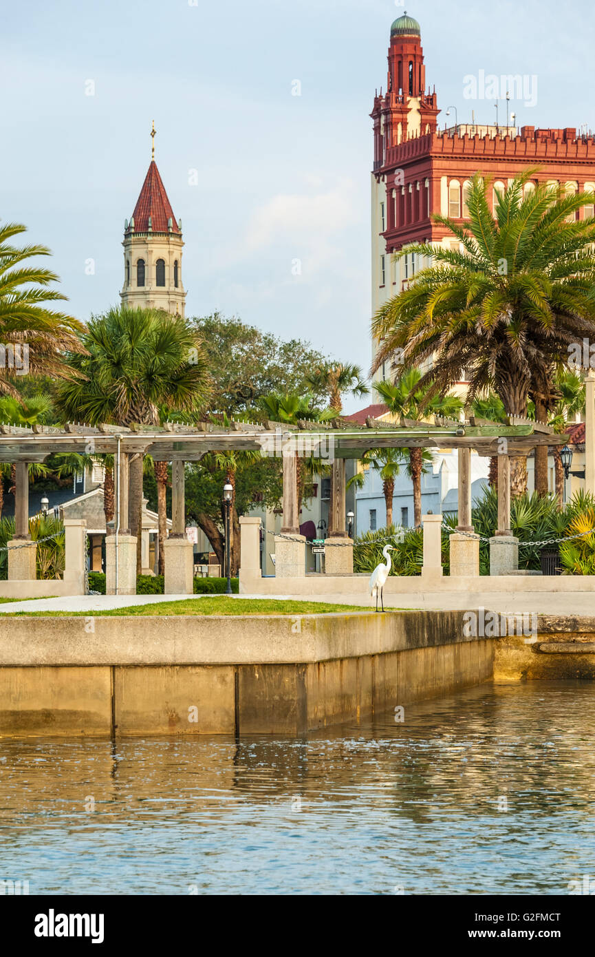 St. Augustine, Florida Waterfront Anzeigen bei Sonnenaufgang von Matanzas Bay mit eleganten Silberreiher auf der Ufermauer. Stockfoto