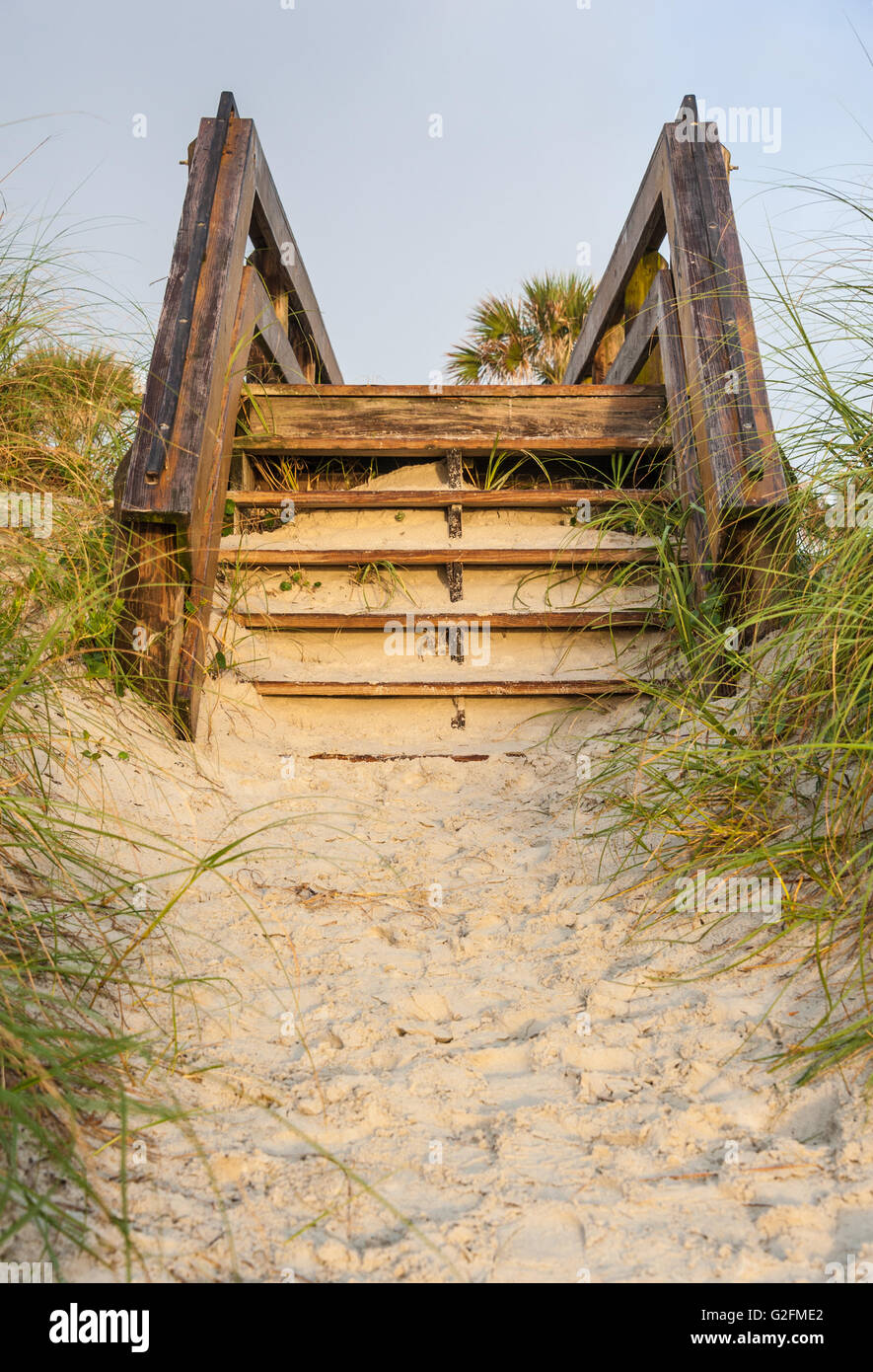 Zugang zum Strand über Sanddünen in Jacksonville Beach, Florida, USA. Stockfoto