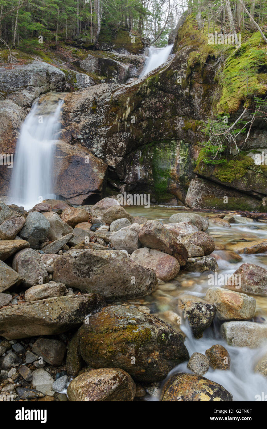 Lafayette Brook fällt in New Hampshire White Mountains USA während der Frühlingsmonate. Stockfoto