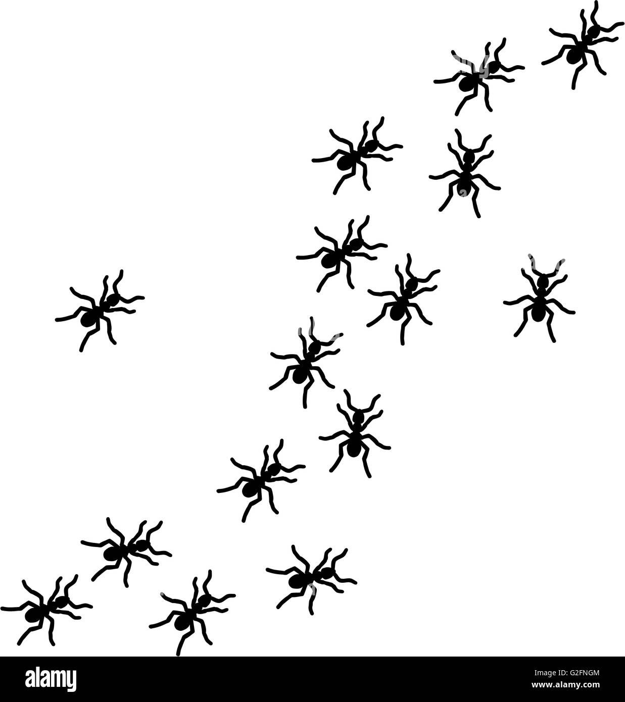 Ant-Trail Ameisen Stockfoto