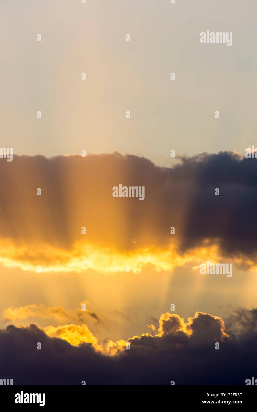 Dramatischer gold Sonnenuntergang Himmel mit Gott Strahlen über dem Golf von Mexiko aus Caspersen Beach in Venice Florida Stockfoto