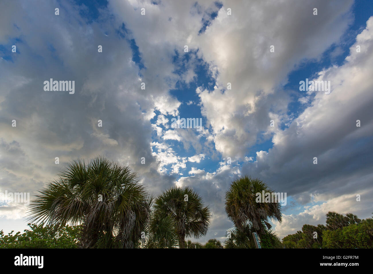 Dramatische Himmel und Wolken-Formationen über Venice Florida Stockfoto