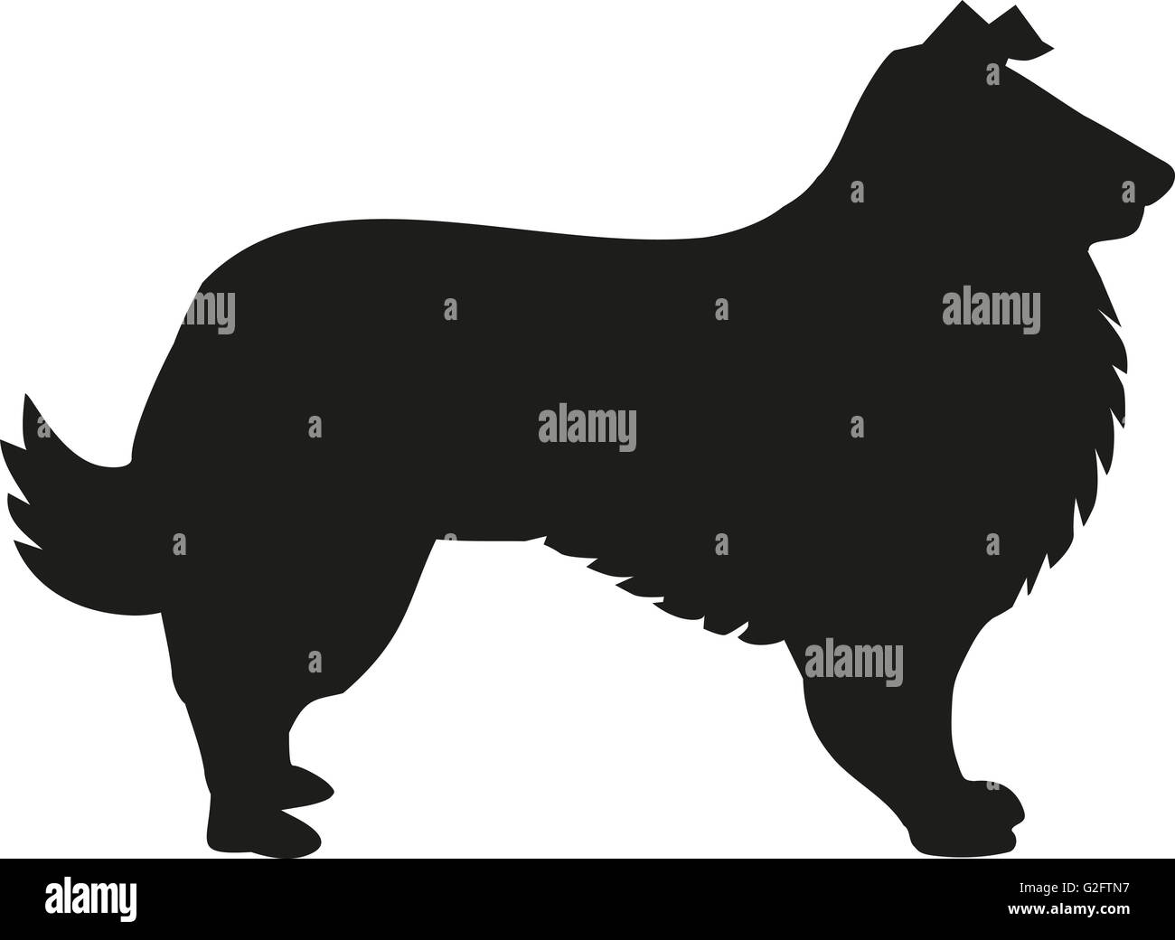 Collie Hund silhouette Stockfoto