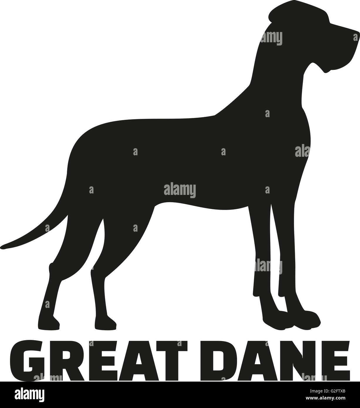 Deutsche Dogge mit Rasse-Namen Stockfoto