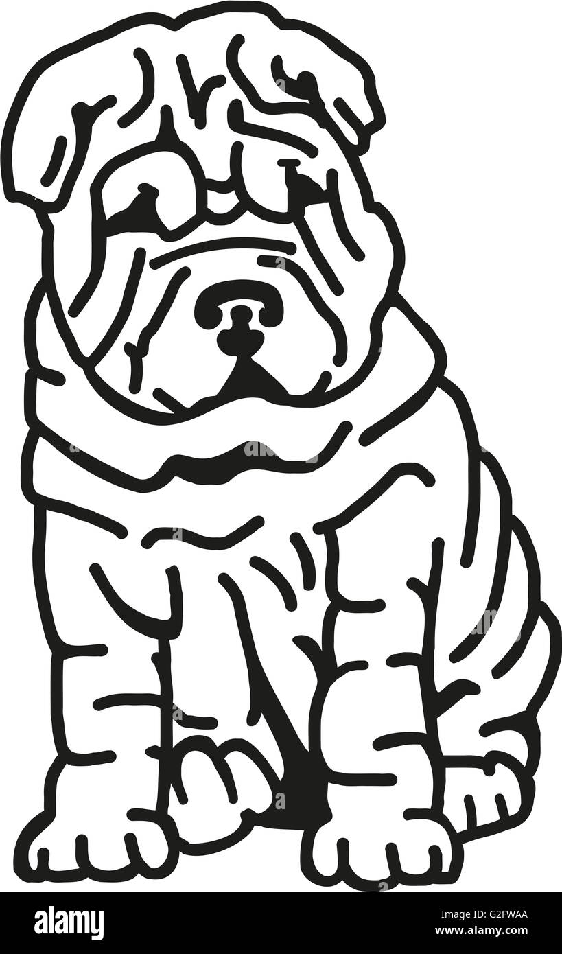 Shar-pei mit vielen Falten Stockfoto