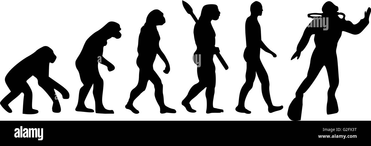 Tauchen-Evolution Stockfoto