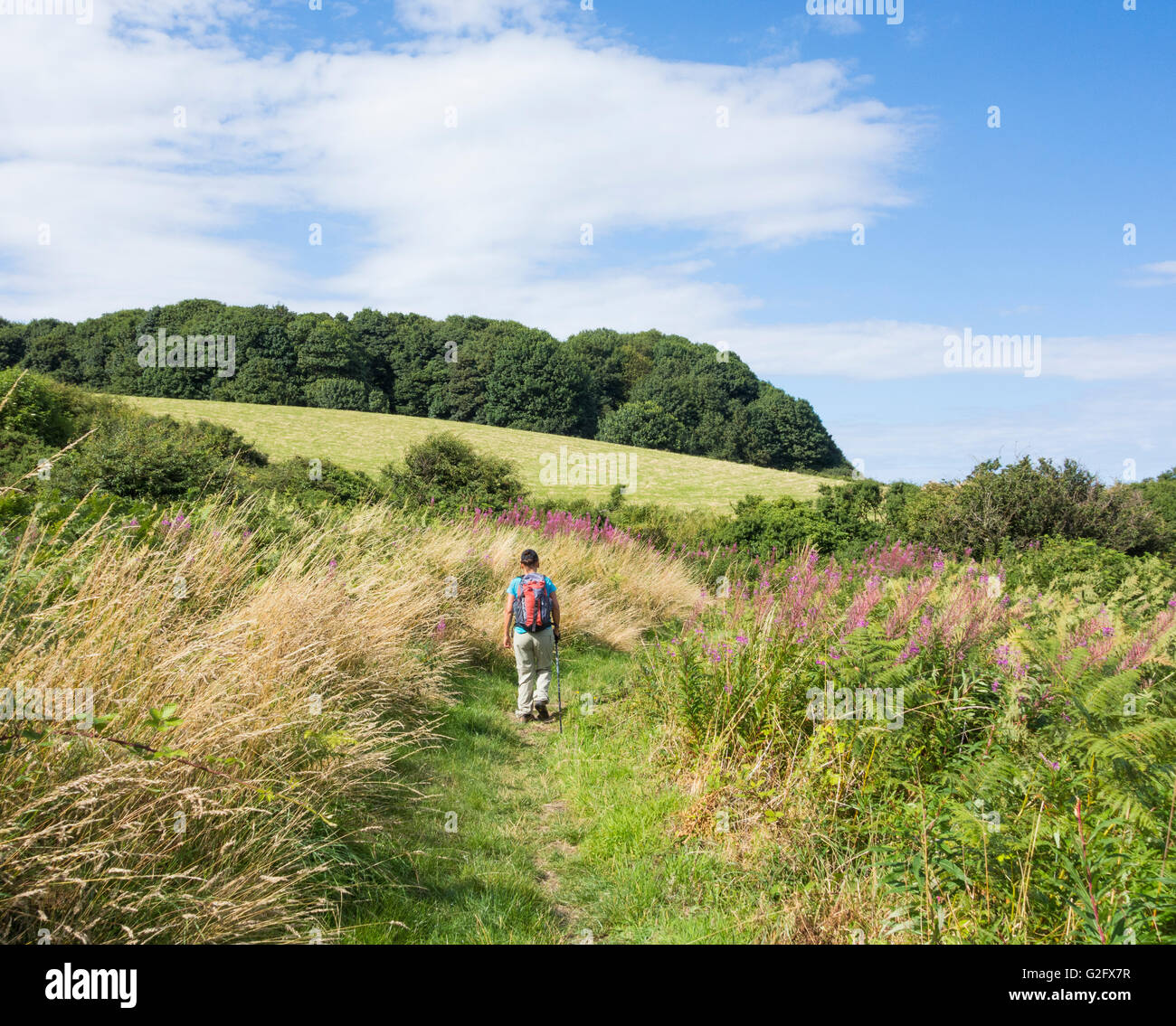 Weibliche Wanderer auf The Cleveland Art National Trail zwischen Scarborough und Robin Hoods Bay auf der North Yorkshire Coast, England Stockfoto