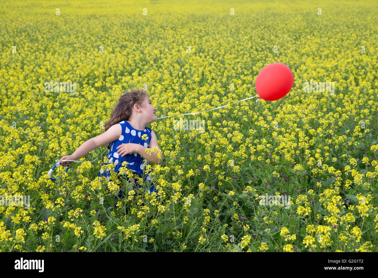 Kleines Mädchen im blauen Kleid mit roten fliegenden Ballon in gelben Blumen Feld spielen Stockfoto