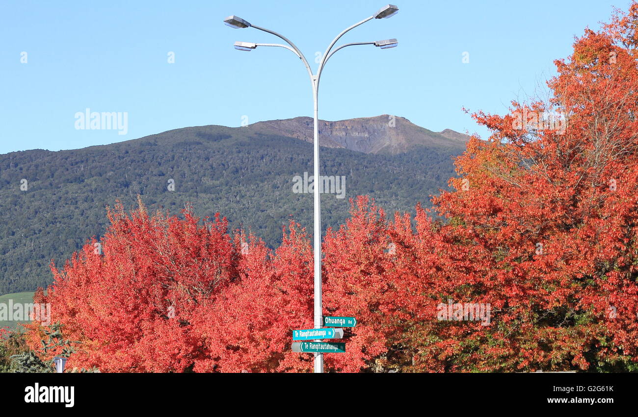 Farben des Herbstes in Turangi in Neuseeland Stockfoto