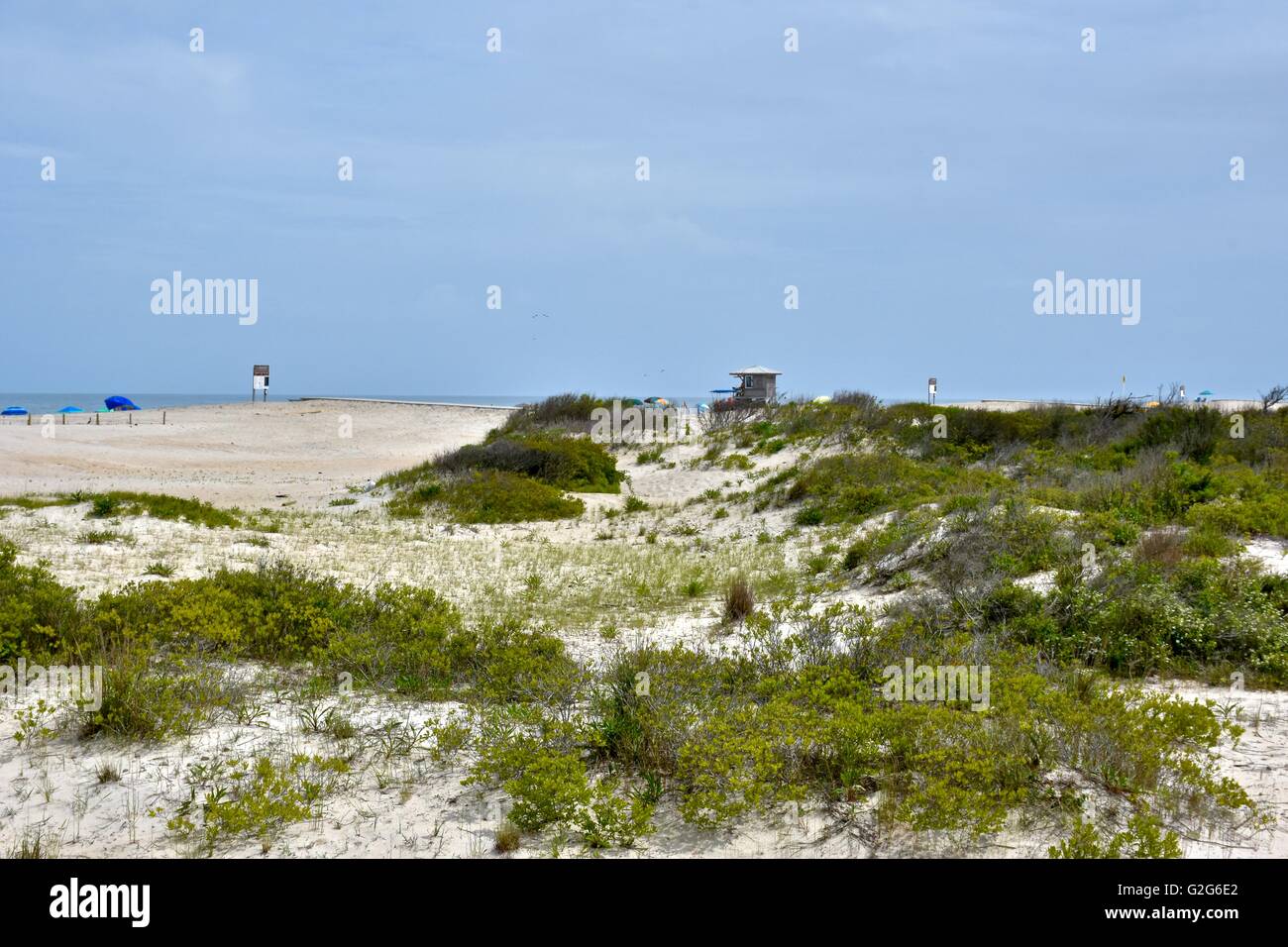 Sanddünen im Assateague Island National Seashore in Maryland Stockfoto