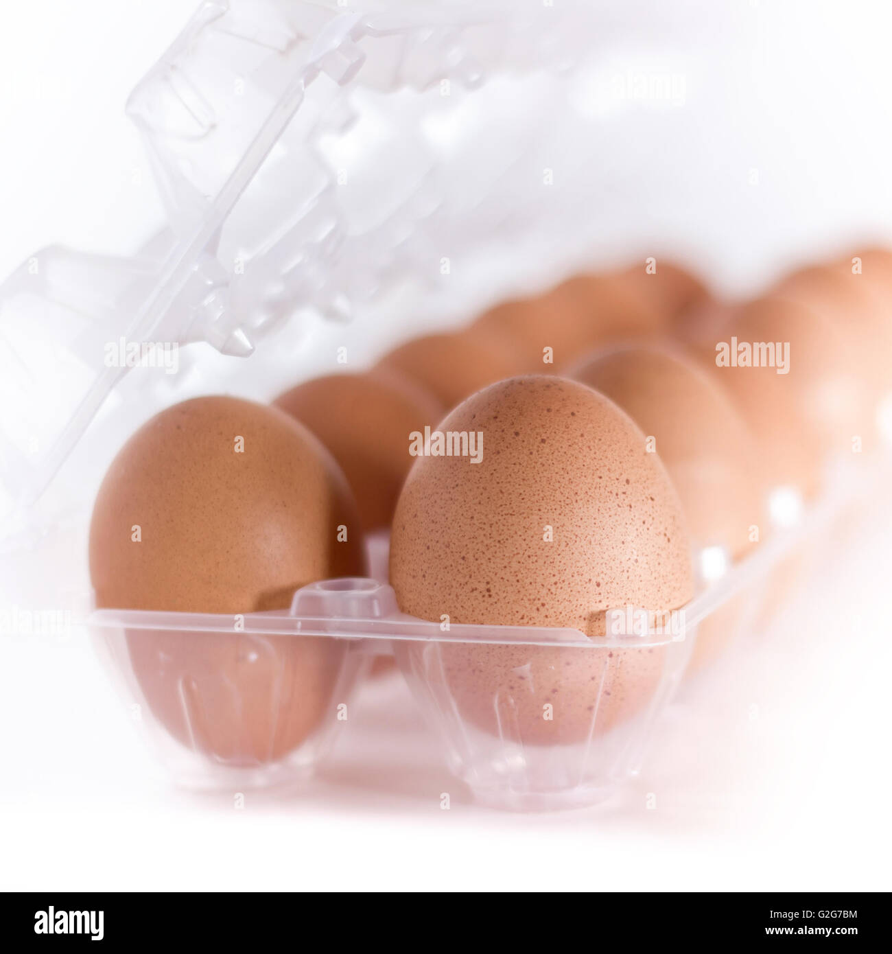 Nahaufnahme von organischen Brown Eiern auf Kunststoff Eierkarton isoliert auf weißem Hintergrund. Defokussierten unscharfen Hintergrund. Stockfoto