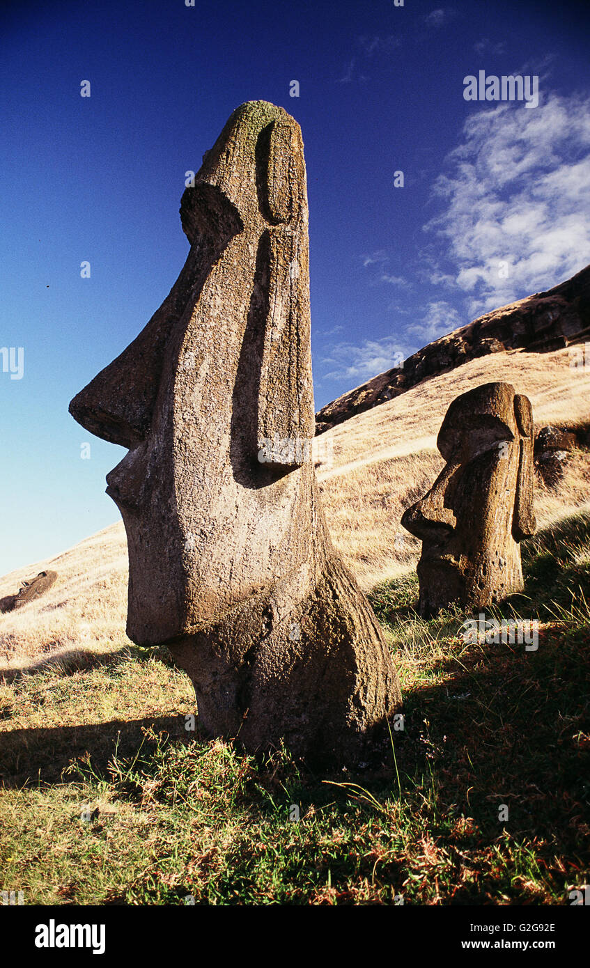 Chile - Osterinsel. Moais am Rano Ranaku, dem Berg, wo die Statuen geschnitzt wurden Stockfoto Chile - Osterinsel. Moais am Rano Ranaku, dem Berg, wo die Statuen geschnitzt wurden Stockfoto