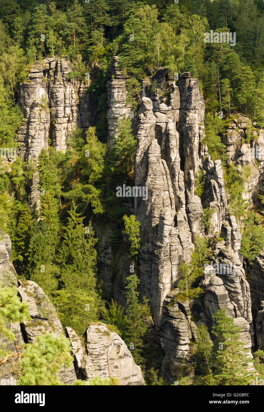 Elbsandsteingebirge, Elbsandsteingebirge, Sachsen, Deutschland Stockfoto