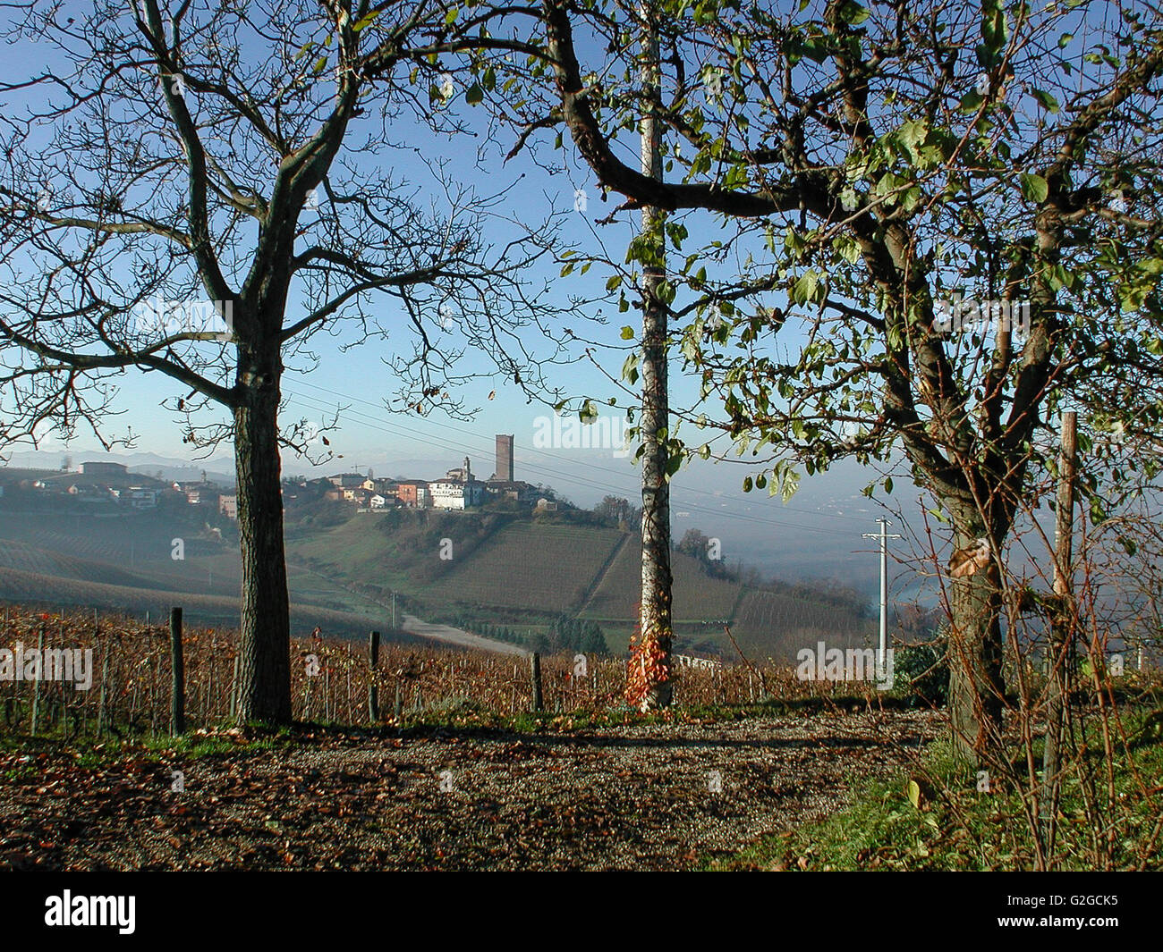 Barbaresco Dorf und Weinberge im Winter, Piemont, Italien Stockfoto