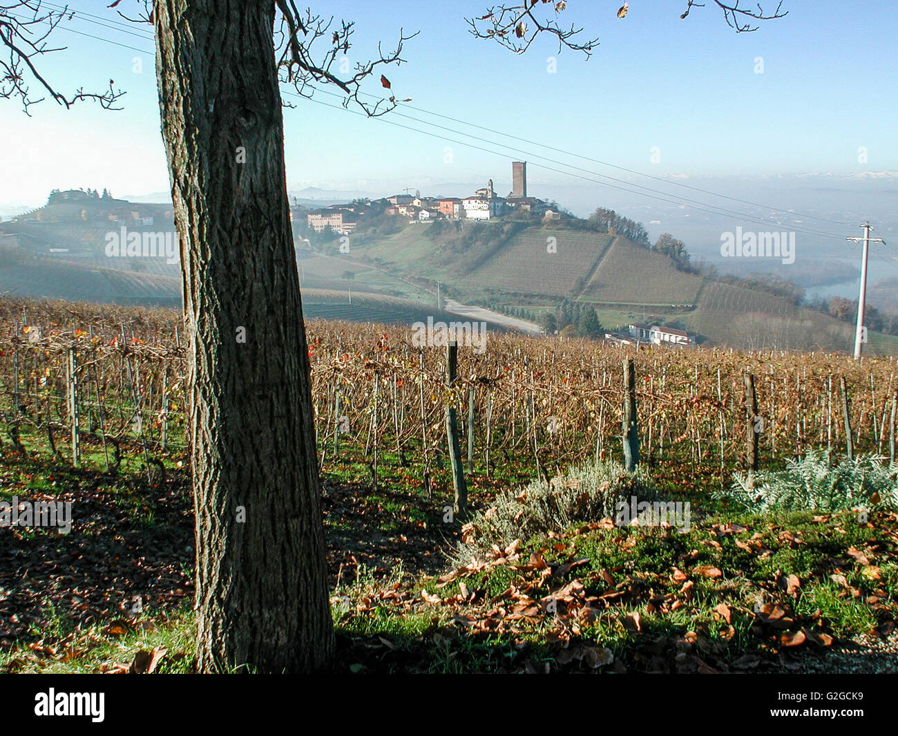 Barbaresco Dorf und Weinberge im Winter, Piemont, Italien Stockfoto
