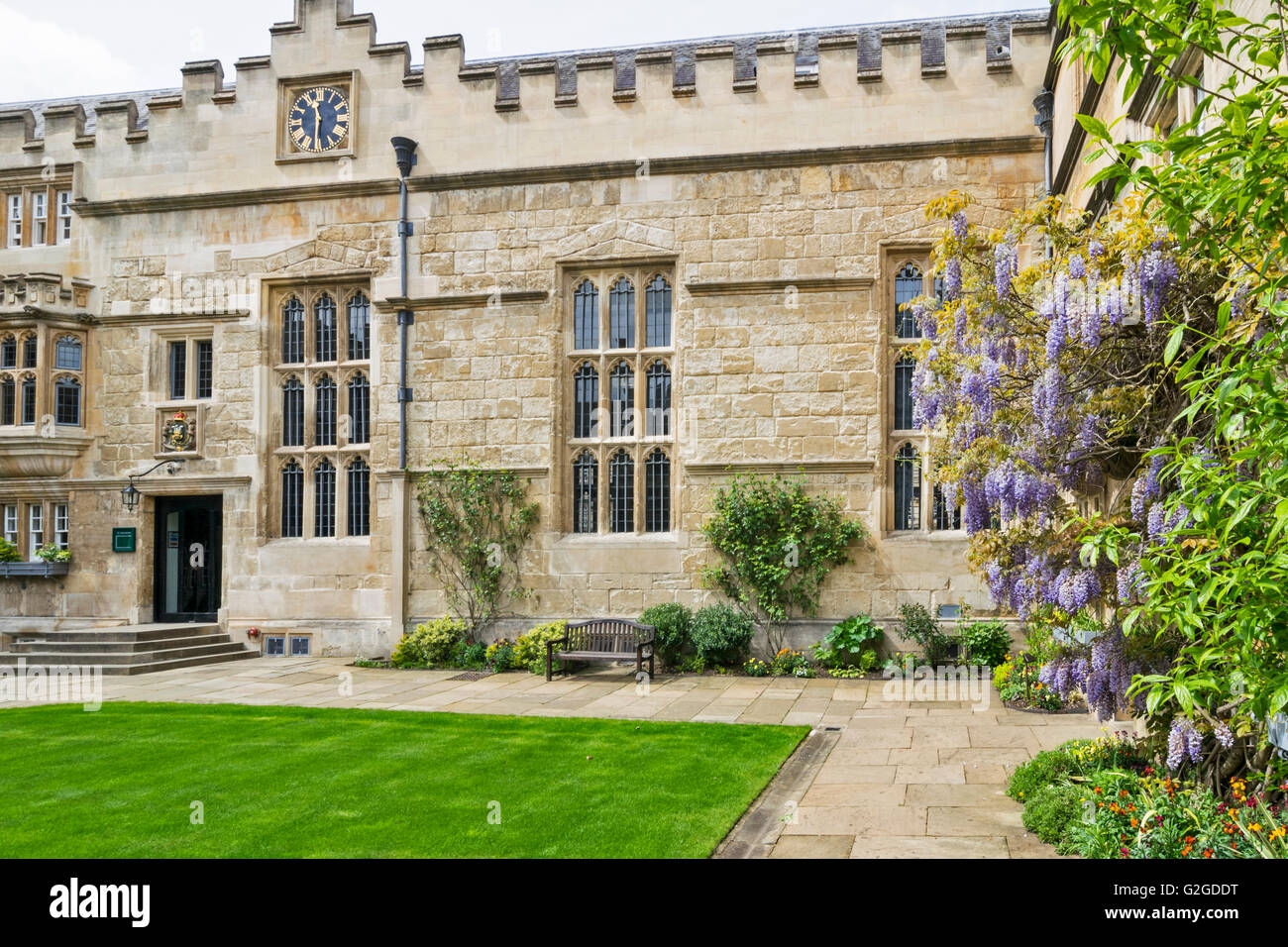 BLAUREGEN WÄCHST AN DEN WÄNDEN DES JESUS COLLEGE IN OXFORD Stockfoto