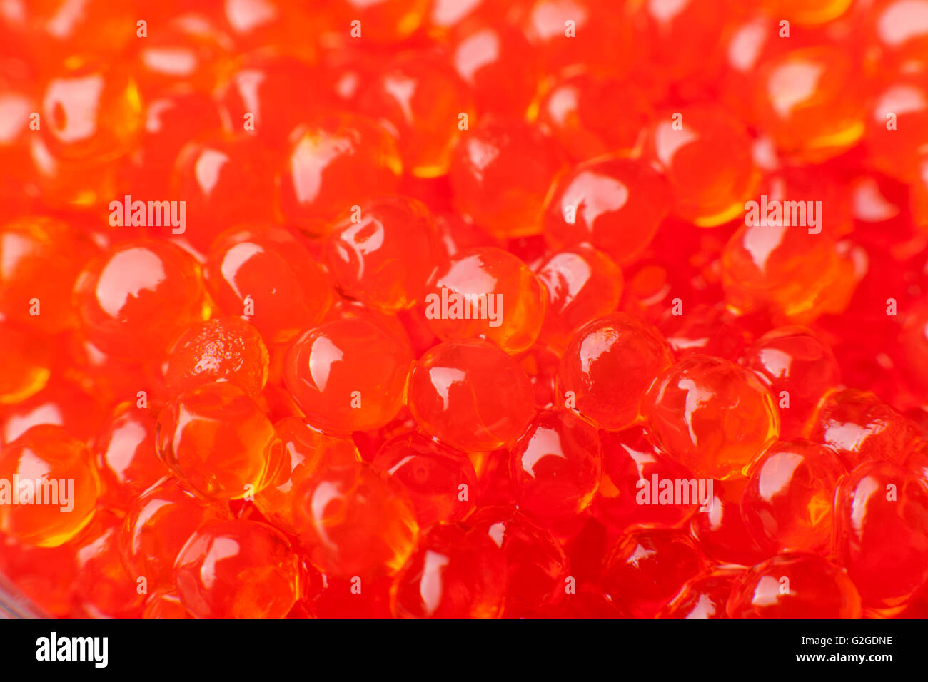 roter Kaviar Nahaufnahme Makro glänzende Perlen Stockfoto