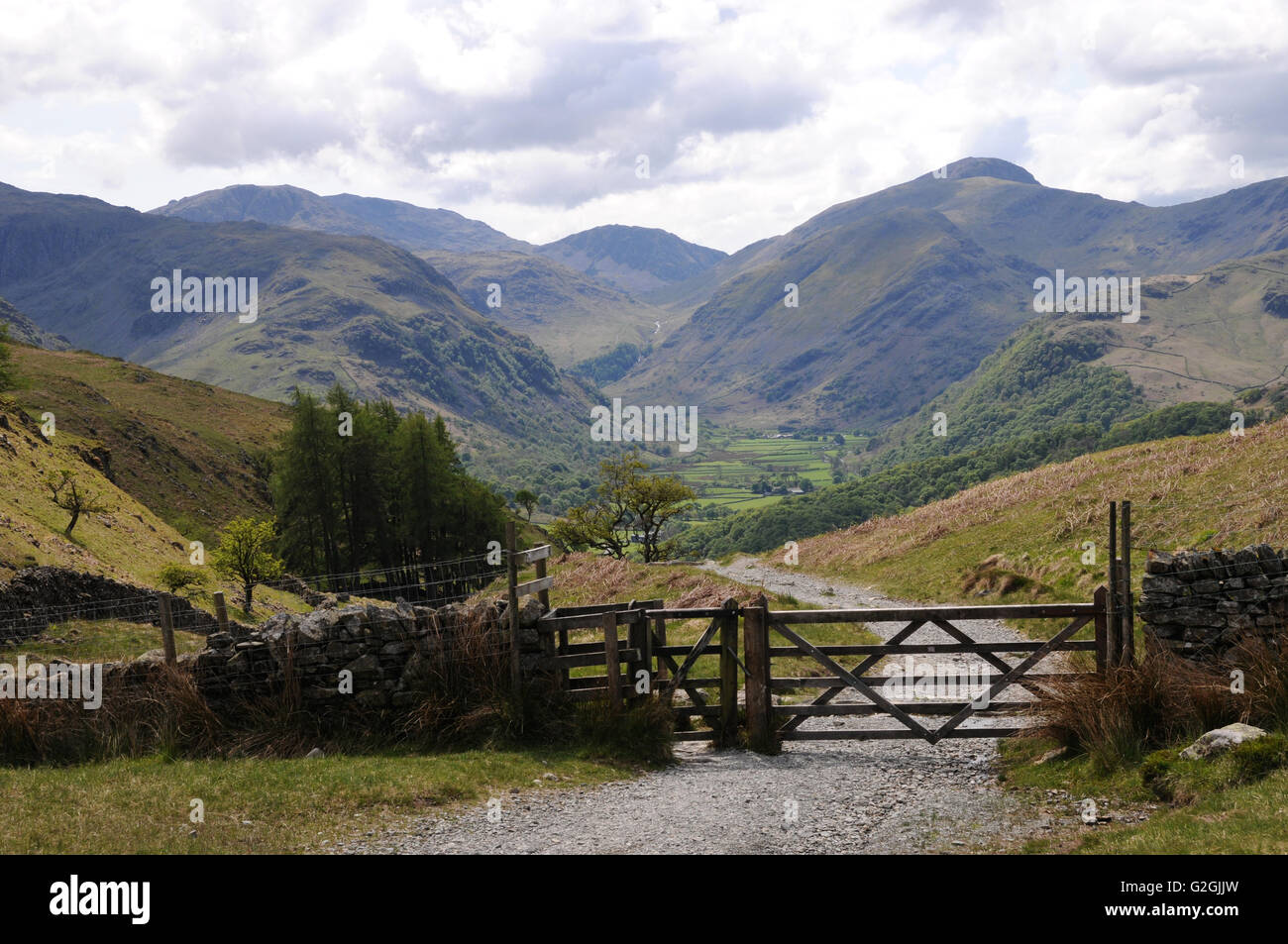 Blick in Richtung Rosthwaite von der Fußweg, die es zu Watendlath im englischen Lake District links. Stockfoto