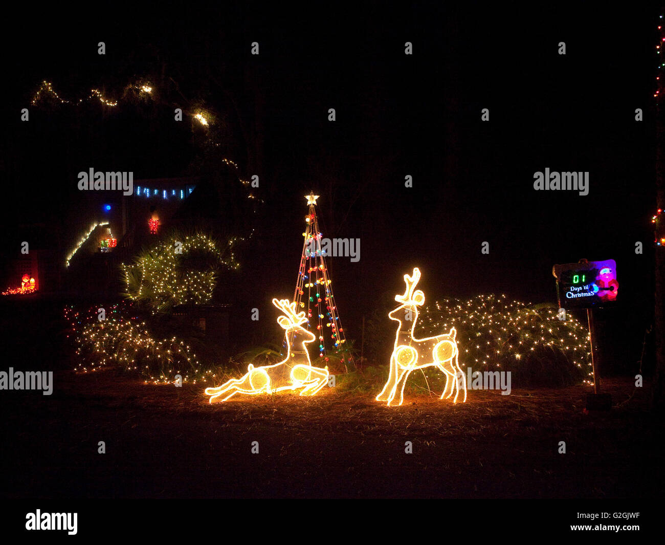 Lichter Nacht Anzeige Urlaub Weihnachtsfeier Stockfoto