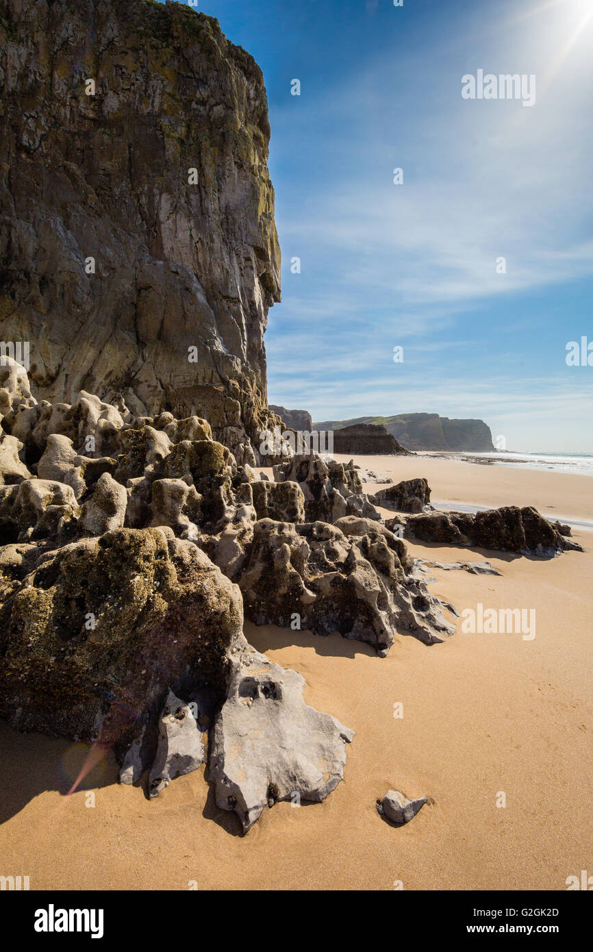 Mewslade Bay an der Küste der Halbinsel Gower in South Wales UK bei Ebbe Stockfoto