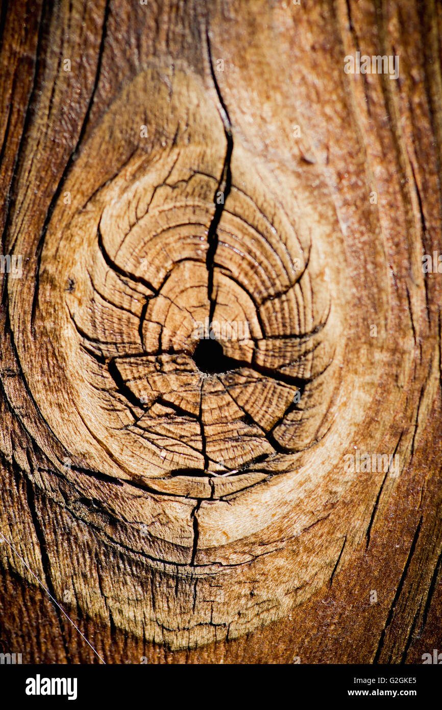 Geknackt, Knoten und Ringe Detail an Holz Wand Stockfoto