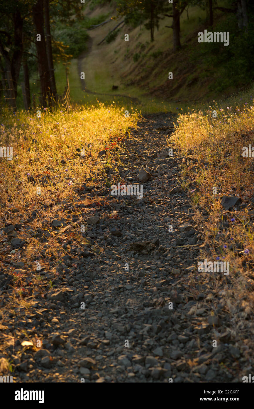 Ländlicher Weg bei Sonnenuntergang Stockfoto