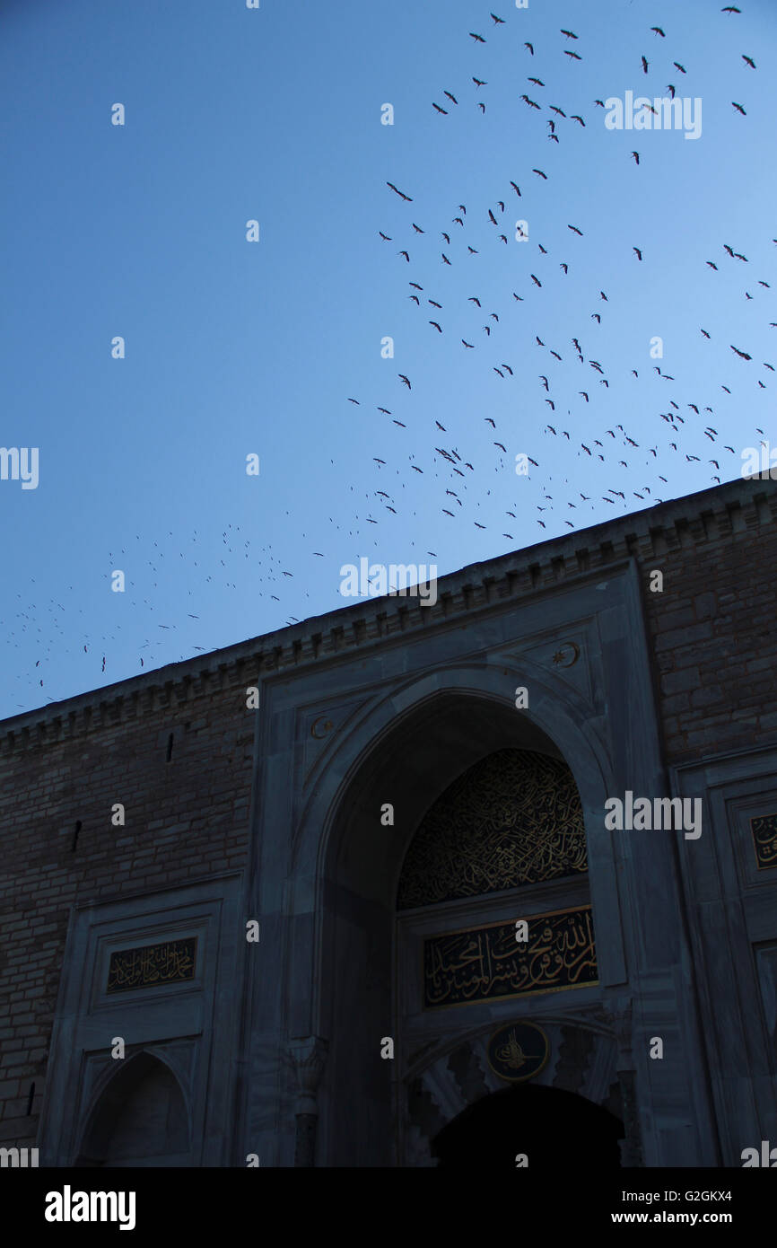 Vogelschwarm oben gewölbt, niedrigen Winkel Ansicht, Topkapi Palace Imperial Eingangstor, Istanbul, Türkei Stockfoto