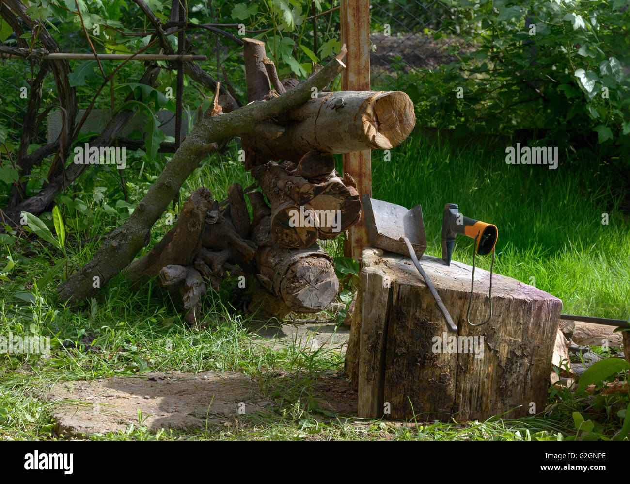 Holzblock mit Axt und Teile des Baumes für Brennholz sind auf Grund der grünen Pflanzen. Stockfoto