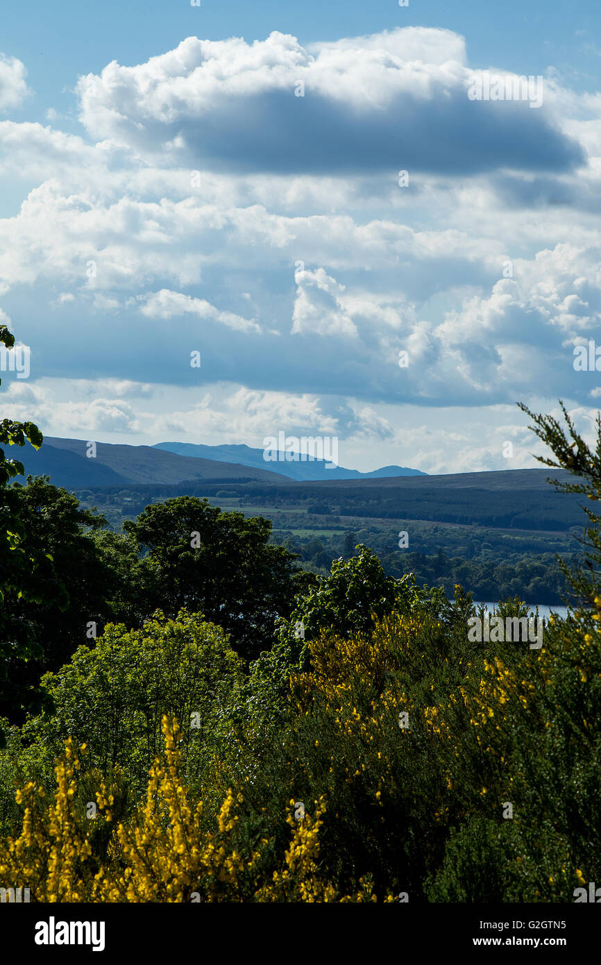 Eine Sommerlandschaft zeigt die sanften Hügeln der Trossachs National Park, Schottland, mit Blick auf Loch Lomond Stockfoto