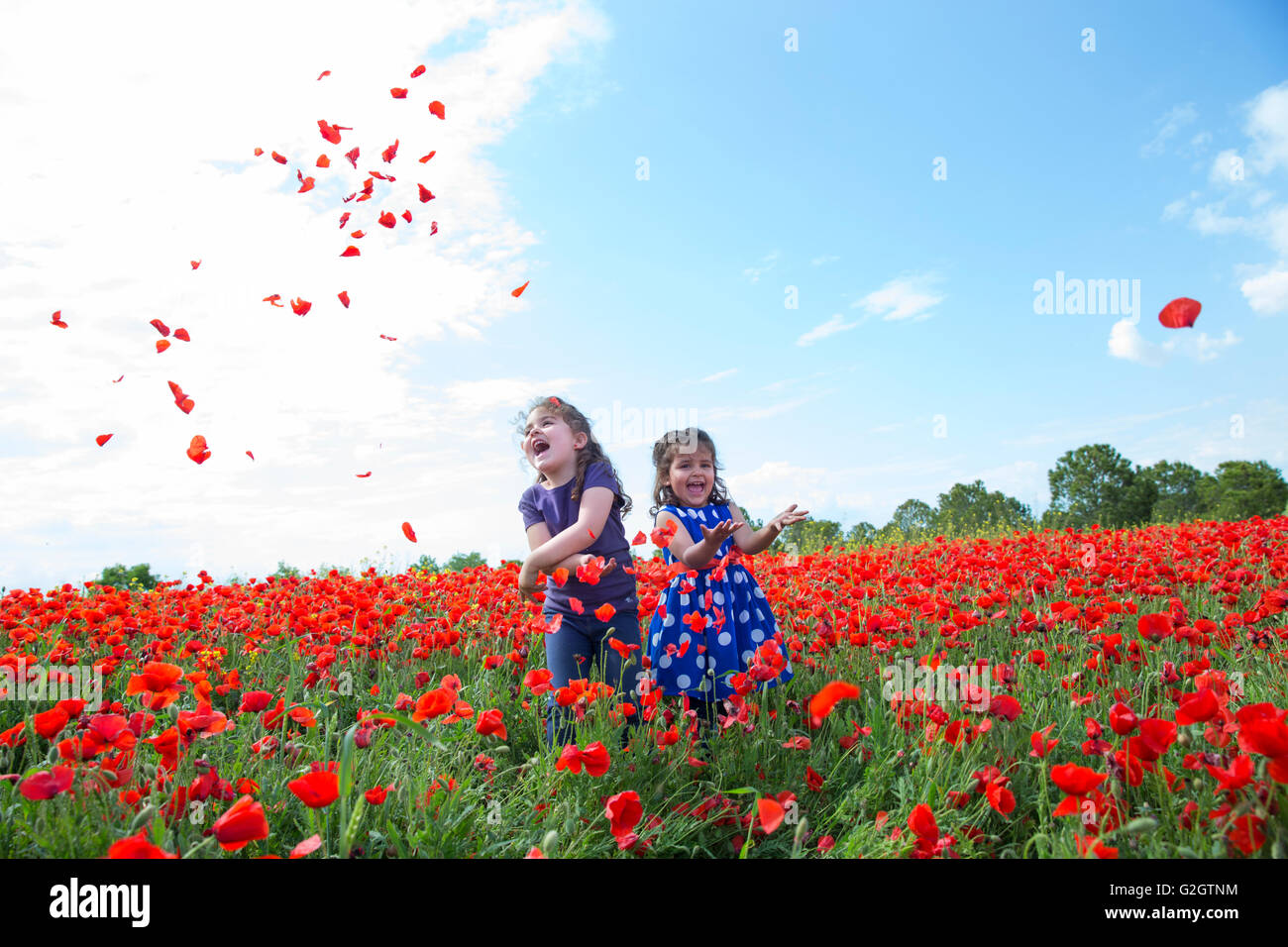Zwei kleine Mädchen werfen Blütenblatt in Blumen Feld Stockfoto