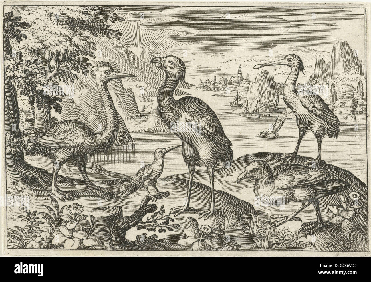 Fünf Vögel einschließlich Löffler, Nicolaes de Bruyn, 1594 Stockfoto