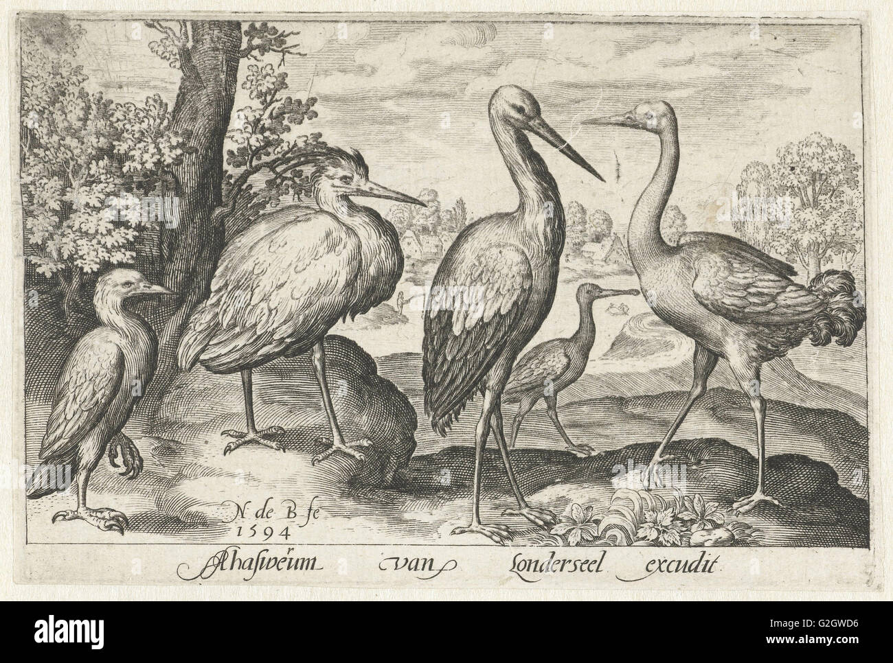 Storch, Kranich, Reiher und Löffler, Nicolaes de Bruyn, 1594 Stockfoto