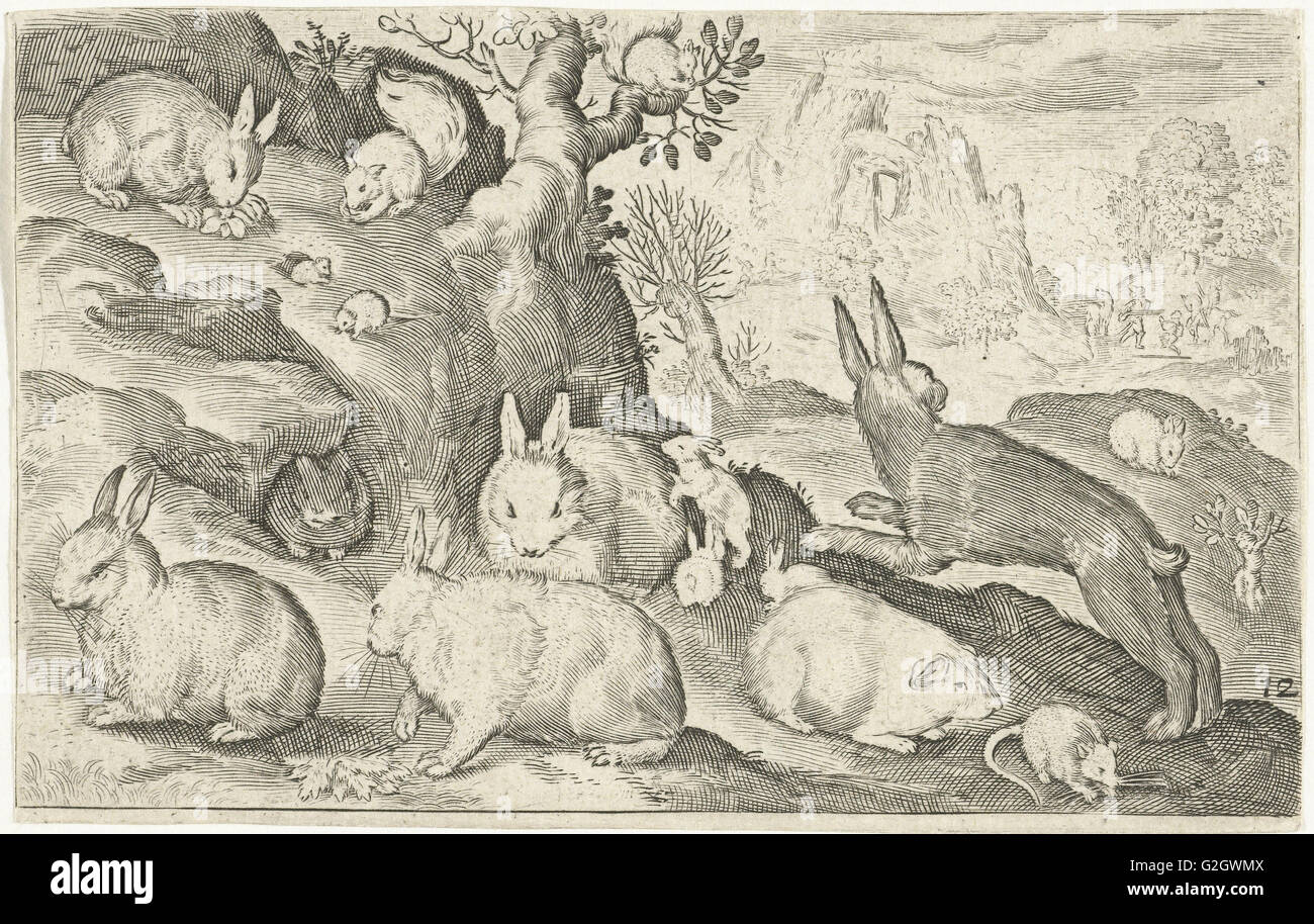 Maus, Nicolaes de Bruyn, 1594, Meerschweinchen, Kaninchen und Eichhörnchen Stockfoto