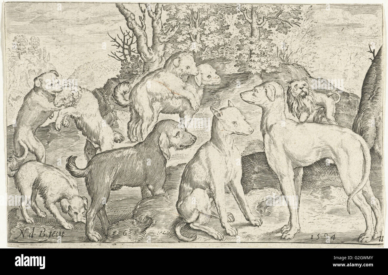 Neun Hunde, Nicolaes de Bruyn, 1594 Stockfoto