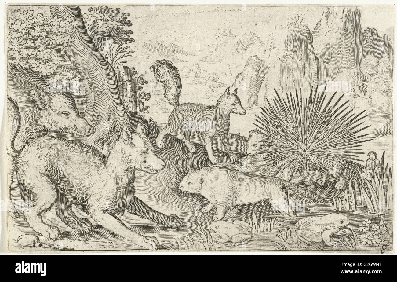 Wildschwein, Fuchs, Biber, Stachelschweine und Frösche, Nicolaes de Bruyn, 1594 Stockfoto