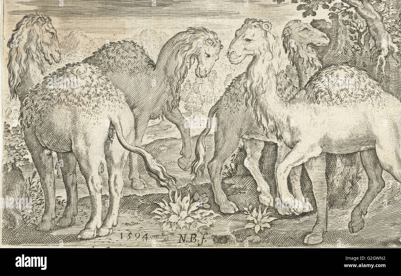 Vier Buckelwale, Nicolaes de Bruyn, 1594 Stockfoto